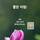 파스쿠찌 대전방동호수공원DI점 이미지