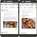 천정농장 | 3월 넷째주 접어드는 대저짭짤이토마토 농장 낙동농장입니다.