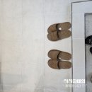 하이얀세탁소 | 창동 쌍문역네일 잘하는 &#39;생화네일&#39; 이달의 아트 손관리후기