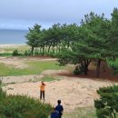 평해사구습지 이미지