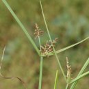 원예기능사 이미지