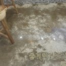 카페호감