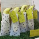 김상헌 농장 네이버블로그