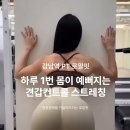 로얄핏PT 이미지