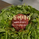 뻐꾸기 식당 | 서울_"능동미나리 성수점" 곰탕,육회비빔밥 솔직후기? (내돈내산)