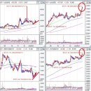 (주)디에스팜 이미지