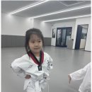 무한도전 태권도 이미지