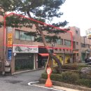 에스메디약국 이미지