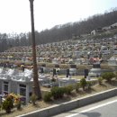 영구장묘