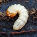 대동테크 이미지