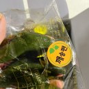 모시덕담