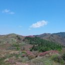 지리산창원마을