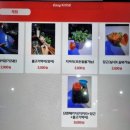 단짠아쿠아 삼천점 이미지