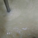 대룡목장 이미지