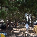 화진해수욕장 바다시청 화장실 이미지