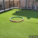 에그집(Egg.zip) 이미지