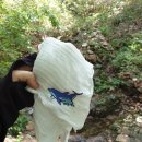 삼청공원 정문 네이버블로그