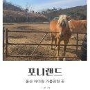 포니랜드 | 울산 포니랜드 방문 후기 | 아기랑 가볼만한곳