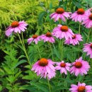 성당할머니 이미지