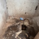 (주)에이치쓰리 | [공지] 251029-251031 주간일기챌린지