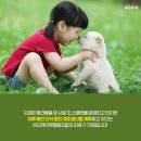 행복한협동조합 이미지