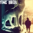 하이플라잉 이미지