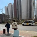 카카오 택시 벤티 예약 내돈내산 :: 인천공항 대형 콜밴 중 제일 나은듯!