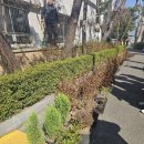 월평2동 행정복지센터 이미지