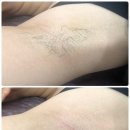 상남동295 이미지