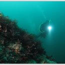 38마린리조트 이미지