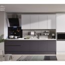 페트코코 이미지