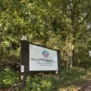 대포서원 | 2일차 단양&amp;안동 - 소백산, 단양구경시장, 도산서원, 예끼마을 선상수상길, 민속식당, 하회마을 줄불놀이