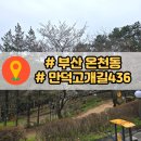 부산 벚꽃 카페, 산속 힐링카페 [만덕고개길 436]