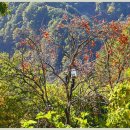 국골펜션 이미지