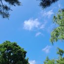 간석1동-14 이미지