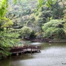 구봉산 가는길 이미지