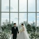 호텔22 | [공지] 결혼일기#22. D-DAY, 메이필드호텔 카라홀 본식 후기
