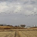 신양마을회관 이미지