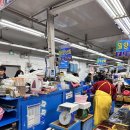 부산상회 | 부산 민락회센터 여수상회 참돔 유비끼 후기｜광안리 회센터 찐맛집