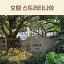 하루상나하 | 오키나와 숙소 추천 호텔스트라타나하 주차 꿀팁 컴팩트룸 후기