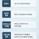 코웨이 주블리 대리점 네이버블로그