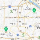 버디독 강아지분양 고양이분양 안심분양센터 서울 강서점 이미지