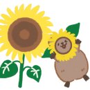 돼지 BAR 이미지