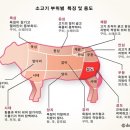 정다함 이미지