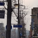 거북장여관 이미지