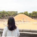 구지로, 분성로 이미지