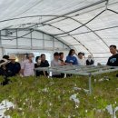 스마트팜의 미래 이미지