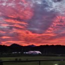 강아지풀애견펜션 이미지