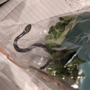 고향마트 이미지