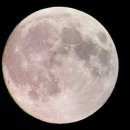 고향생각 이미지